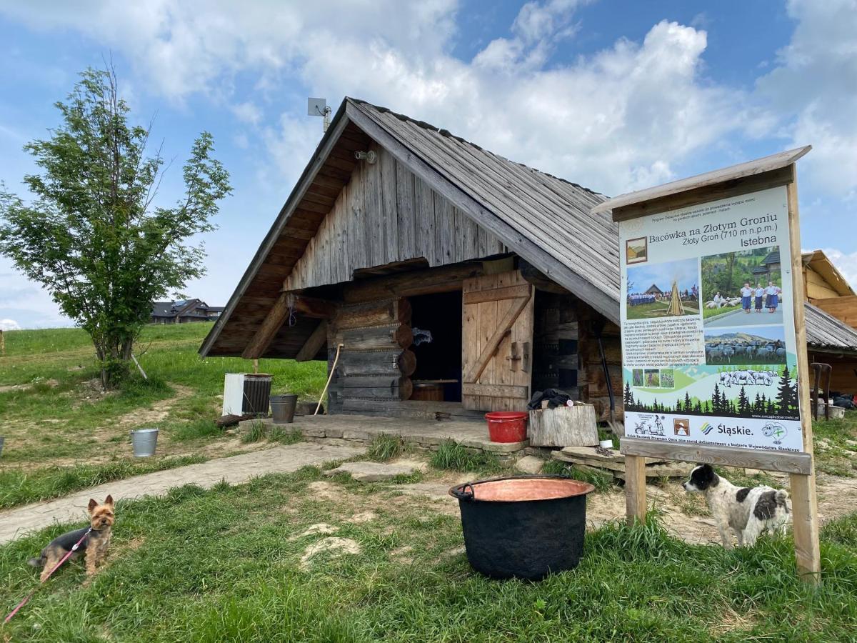 Zloty Gron Log Houses & Apartments イステブナ エクステリア 写真