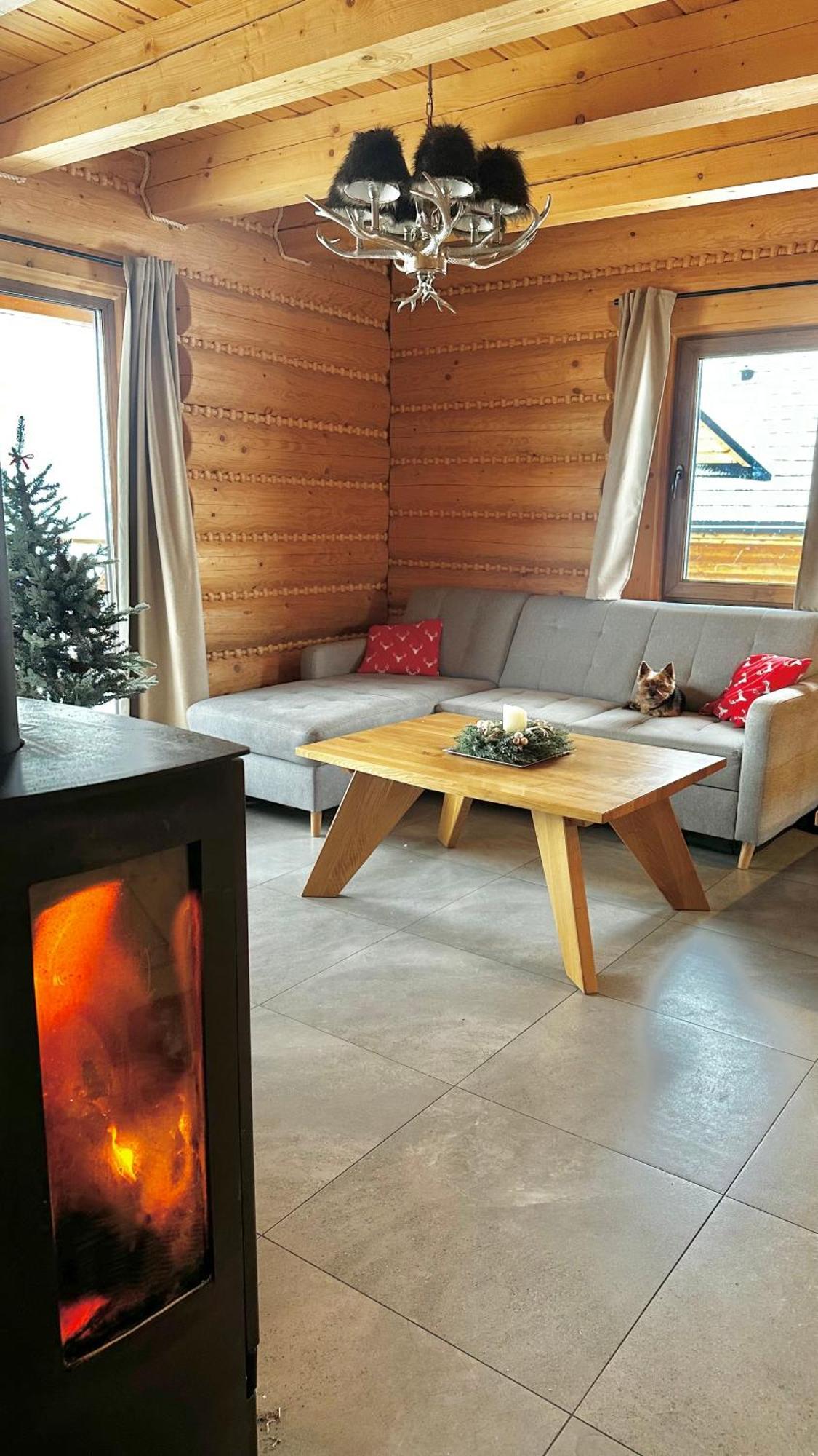 Zloty Gron Log Houses & Apartments イステブナ エクステリア 写真